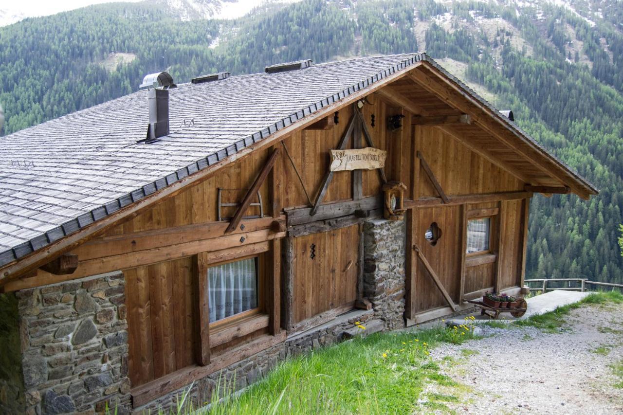 Chalet Mas Del Toni 拉比 外观 照片